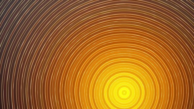 Star trails night sky timelapse showing concentric circular rotation motion