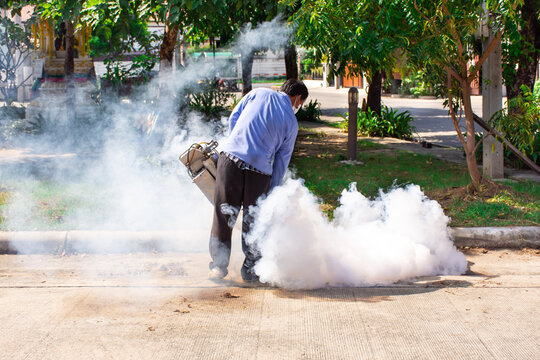 Worker operates thermal fogging machine outdoors releasing dense white smoke to control mosquitoes insects around green residential garden roadside area