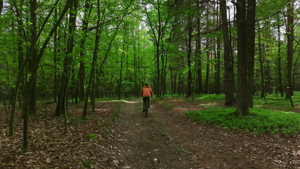 Fototapeta premium Summer forest mountain biking activity on natural trail