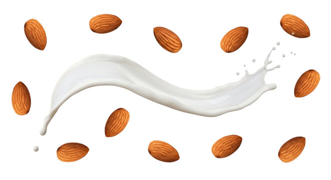 Smooth white line connecting scattered brown almonds with organic design isolated on transparent background