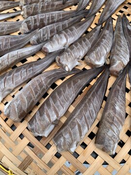 fish dried by sun burn local craft process on plate background
