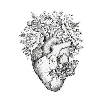 Vintage Botanical Anatomical Heart Line Art with Peonies and Moth Illustration