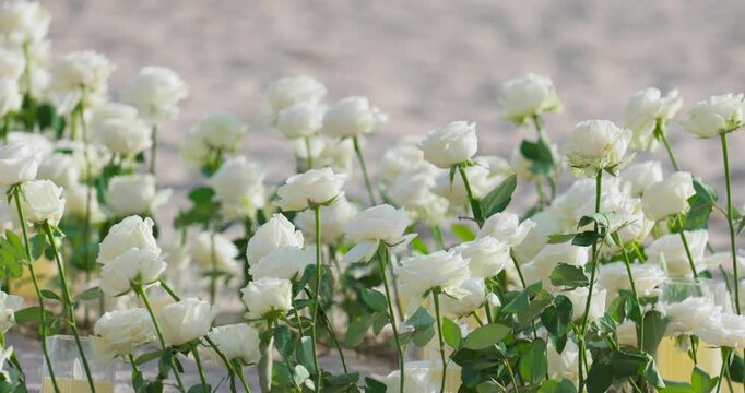 White Roses in Glass Vases on a Sandy Beach Close-Up