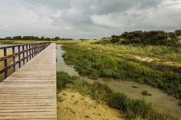 Fototapeta premium A photograph of a wooden footbridge over the beautiful polders at the North Sea coast. A polder is a tract of land—artificially drained and enclosed by dikes—that often lies below the normal sea leve