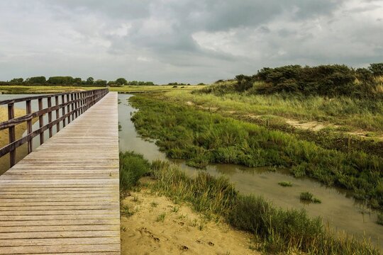 
A photograph of a wooden footbridge over the beautiful polders at the North Sea coast. A polder is a tract of land&mdash;artificially drained and enclosed by dikes&mdash;that often lies below the normal sea leve