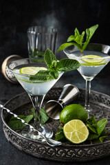 Summer  cold cocktail with citrus fruit, tonic  and ice, selective focus © amberto4ka