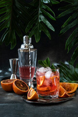 Citrus beverage with mint, summer cold drink with bar accessories © amberto4ka