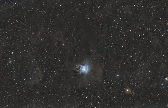 Iris Nebula NGC 7023 surrounded by dark interstellar dust