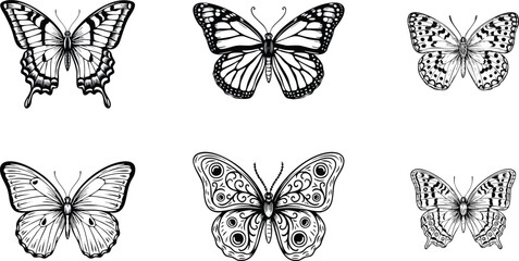 Vintage butterfly vector set with detailed wing patterns on transparent background © Umme