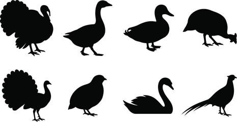 Fototapeta premium Collection of flat black farm poultry and wild water bird silhouettes for commercial vector graphic design projects