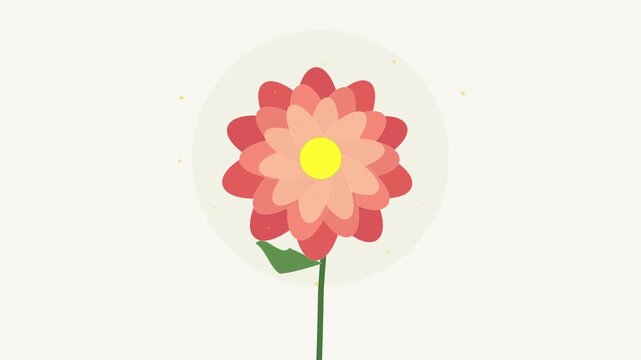 Animated blooming flower with pink petals and yellow center, simple spring nature motion graphic loop