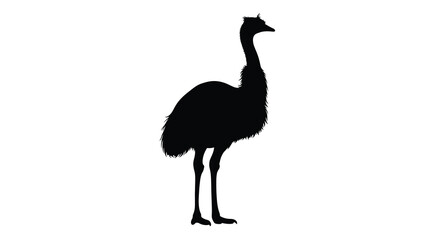 Fototapeta premium Rhea bird silhouette against a white background