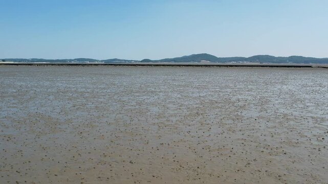 The vast, exposed mudflats of the West Sea at low tide_05