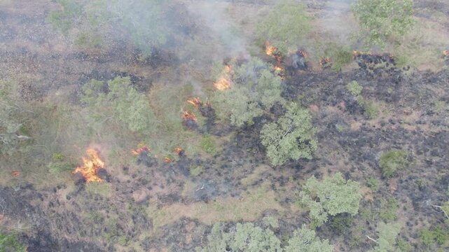 Active Bushfire Burning Through Green Scrubland With Flames and Smoke