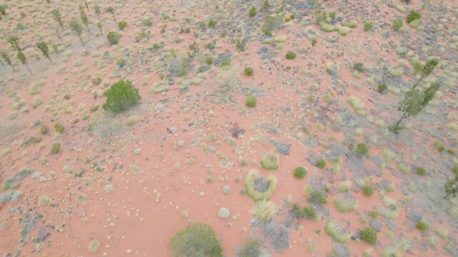 Red Sandy Terrain In Great Central Australian Desert