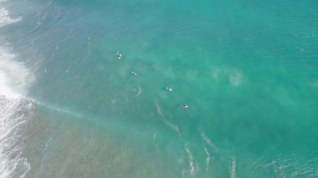 Surfers On Boards On The Water's Surface, Waiting For Incoming Waves