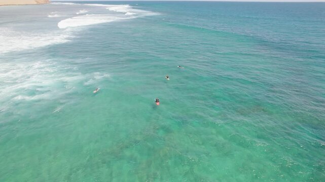 Surfers Sitting on Boards Waiting for Waves in Clear Turquoise Ocean