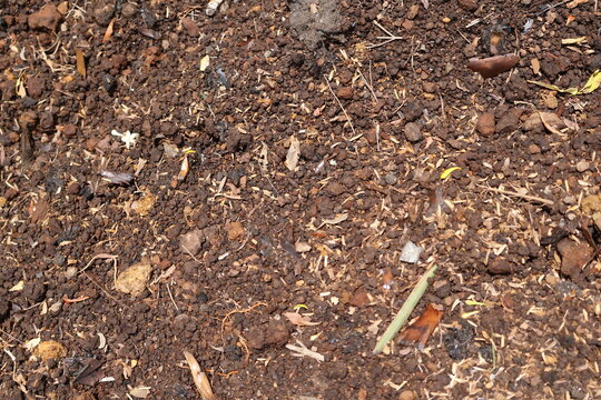 Top view of dark brown garden soil mixed with organic mulch and wood chips.