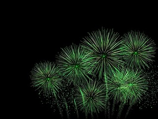 Fototapeta premium Vibrant Green Fireworks Exploding in Night Sky Display.