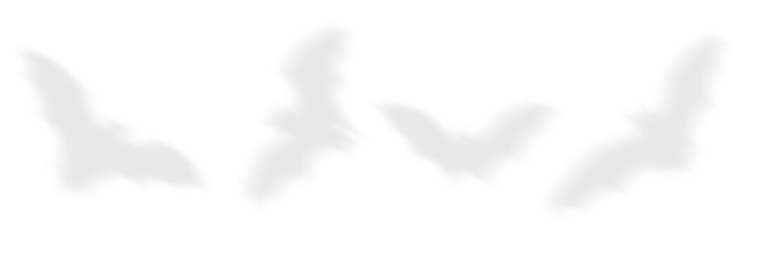 Bat Silhouette Shadow, Spooky Flying Bats Set Shadow Overlay in Different Poses for Halloween