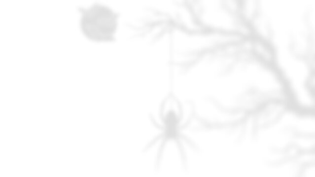 Spider Branch Shadow, Spooky Hanging Spider with Tree Branch and Pumpkin Shadow for Halloween