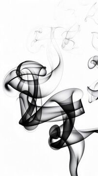 Abstract black and white smoke swirls on a white background with elegant flowing patterns
