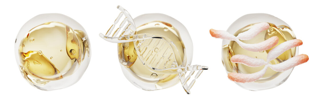 Cosmetic serum capsules 3d set with DNA helix, chromosomes and active formula droplets in gold liquid. Oil bubbles, Q10 or hydration essence for anti aging skincare, medical genetics