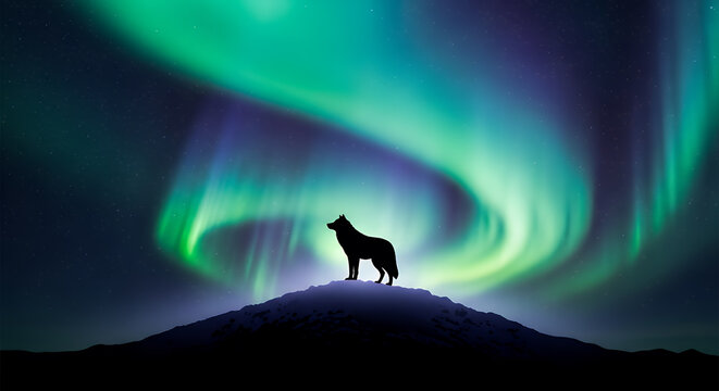 Silhouette of a wolf standing on a snowy hill under vibrant green aurora borealis in the night sky