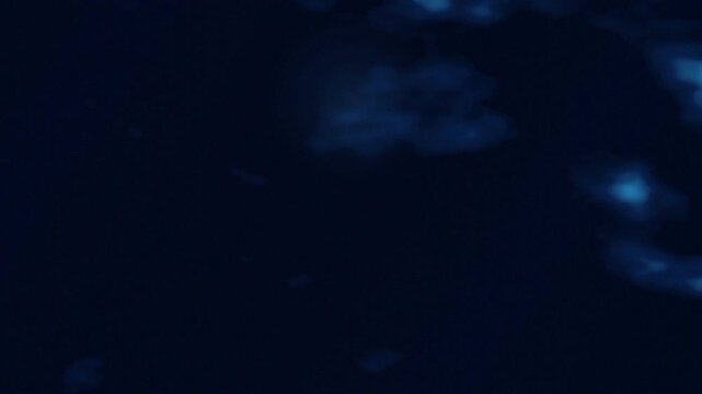Deep ocean underwater caustics light effect background and loopable video motion