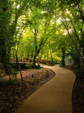 Curved footpath leading through sunlit forest with wooden bridge at Japodski otoci, Bihac, Bosnia and Herzegovina