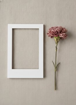 White rectangular frame mat with a single dusty pink carnation flower placed on a light beige textured linen fabric background