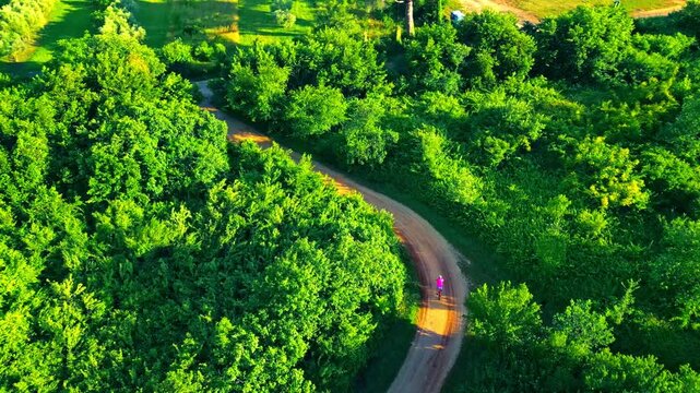 A senior adult cycles along a winding dirt path surrounded by lush greenery in a serene, sunlit forest, enjoying the joy of cycling amidst nature.