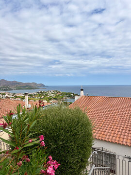 Coastal view with terraced houses and blooming oleander flowers pink flowers blue sky summer day
