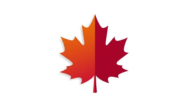 Rotating red maple leaf animation on white background