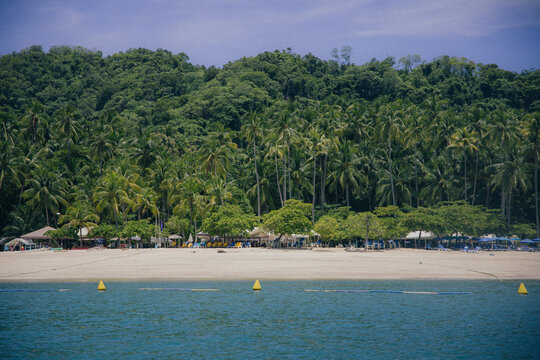 Lush tropical island beach with palm trees from water
