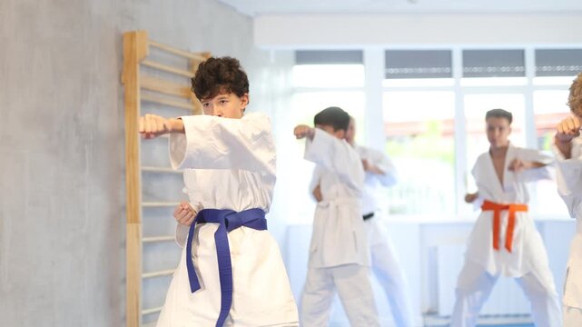 Group of children posing together, practicing karate moves at class indoor in sports gym 