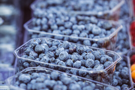 Fresh blueberries arranged in small, plastic containers, ready for sale in a fruit and vegetable market