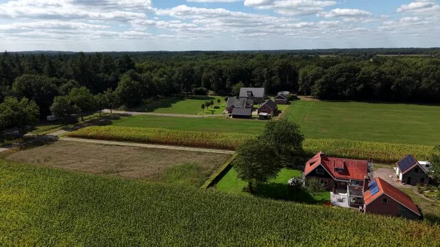 Red-roofed house with shaded garden sits beside tall green cornfield, second grey-roofed farmhouse spans open lawn near dense forest edge in rural Netherlands countryside. Aerial drone flyover shot