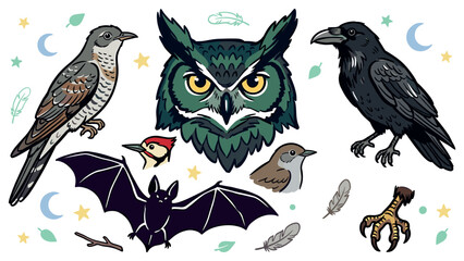 Obraz premium Birds and nocturnal wildlife illustration with owl raven bat and feathers for print design in detailed hand drawn style