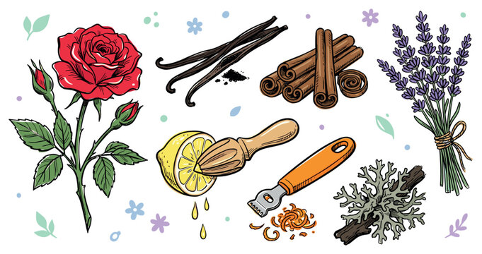 Botanical and culinary vector illustration with rose vanilla cinnamon and lavender for packaging design in hand drawn style