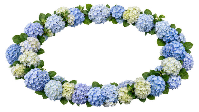 Hydrangea Flower Oval Wreath on Transparent Background
