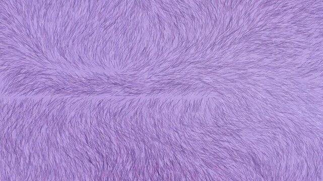 Soft lavender purple plush faux fur texture background and loopable video motion
