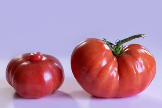 Two unusual, naturally misshapen ripe red tomatoes on lavender background, showing irregular forms and pronounced lobes. One tomato has small secondary growth on top, creating distinctive appearance