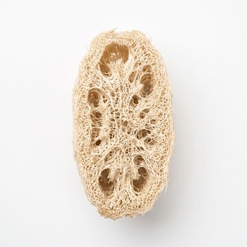 Natural Loofah Sponge Shows Organic Porous Texture Isolated On White Background