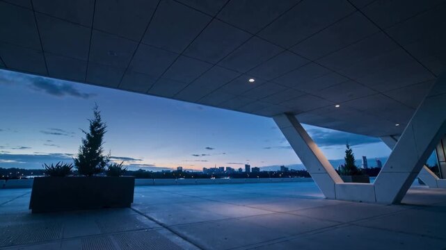 Dawn light creeping along horizon revealing planter at waterfront with conifer, copy space