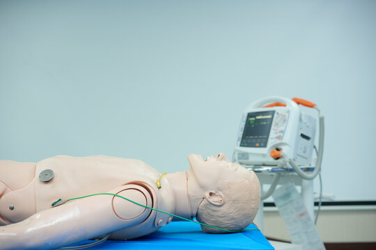 A high-fidelity patient simulator mannequin prepared for emergency care and clinical skills training,Demonstration of patient monitoring equipment connected to a medical training dummy.