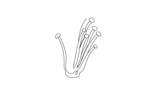 Minimalist enoki mushroom continuous line drawing animation gradually forming on a clean white background. A single unbroken black line creates a cluster of slender enoki mushrooms