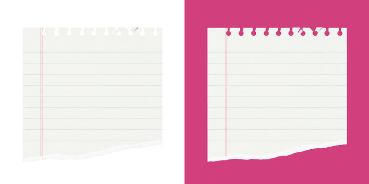 Torn Lined Paper Sheet with Spiral Binding Holes Graphic Design transparent png