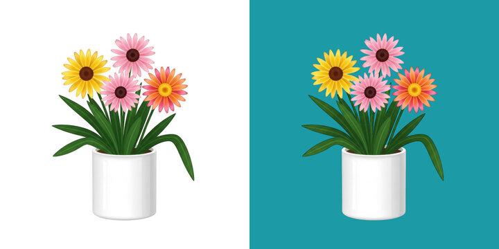 Colorful gerbera daisy flowers in a white ceramic pot transparent png