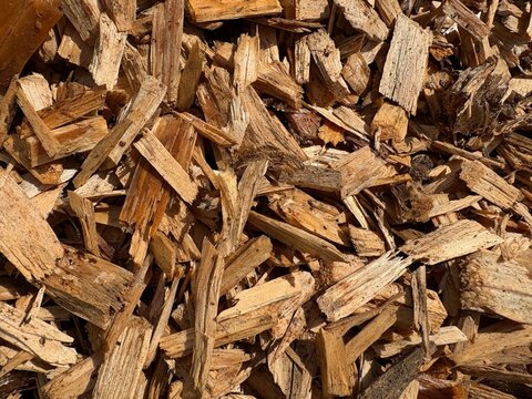 Natural wood shavings and sawdust texture, organic mulch material for soil, eco-friendly wood chips background for gardening, agriculture and farming